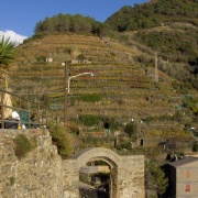 02_Vernazza (9)